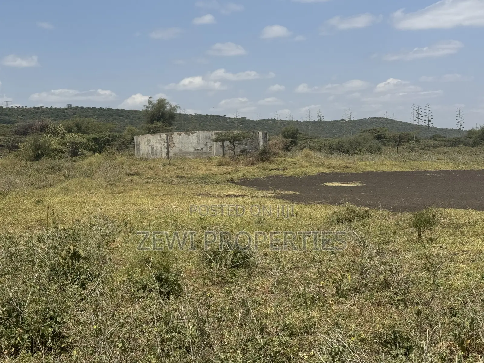 49 Acres Kisamis