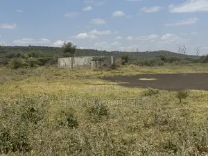 49 Acres Kisamis