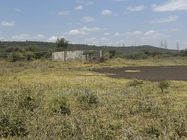 49 Acres Kisamis - thumbnail 4