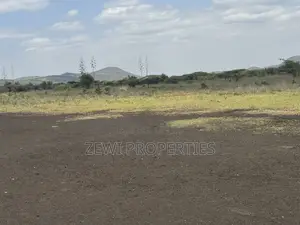 49 Acres Kisamis