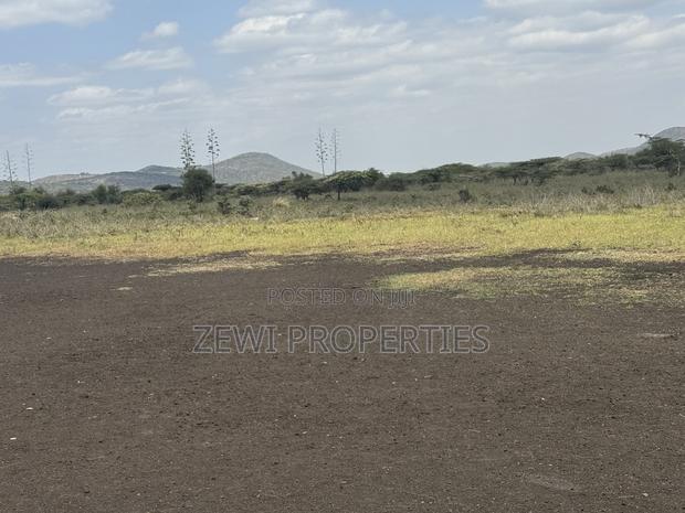 49 Acres Kisamis - thumbnail 5