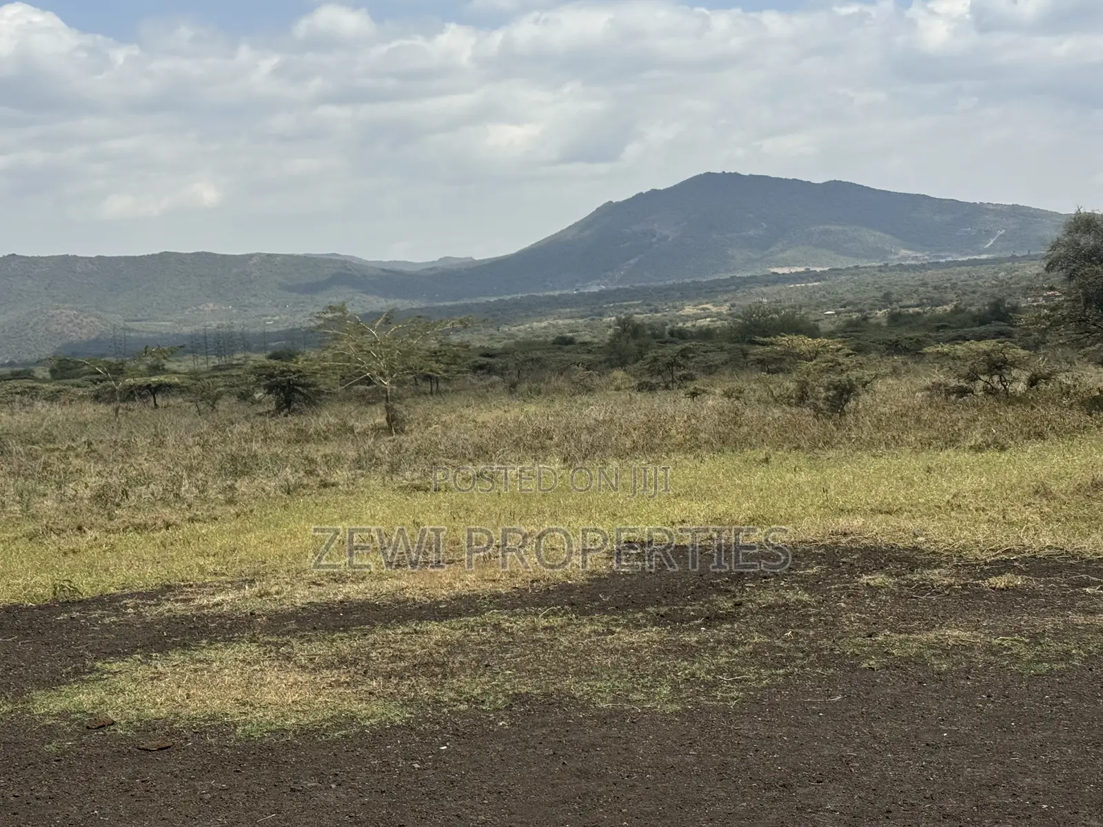 49 Acres Kisamis