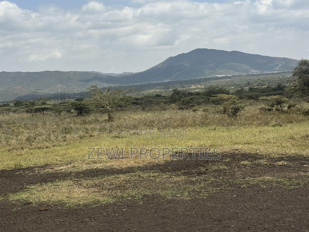 49 Acres Kisamis - thumbnail 6