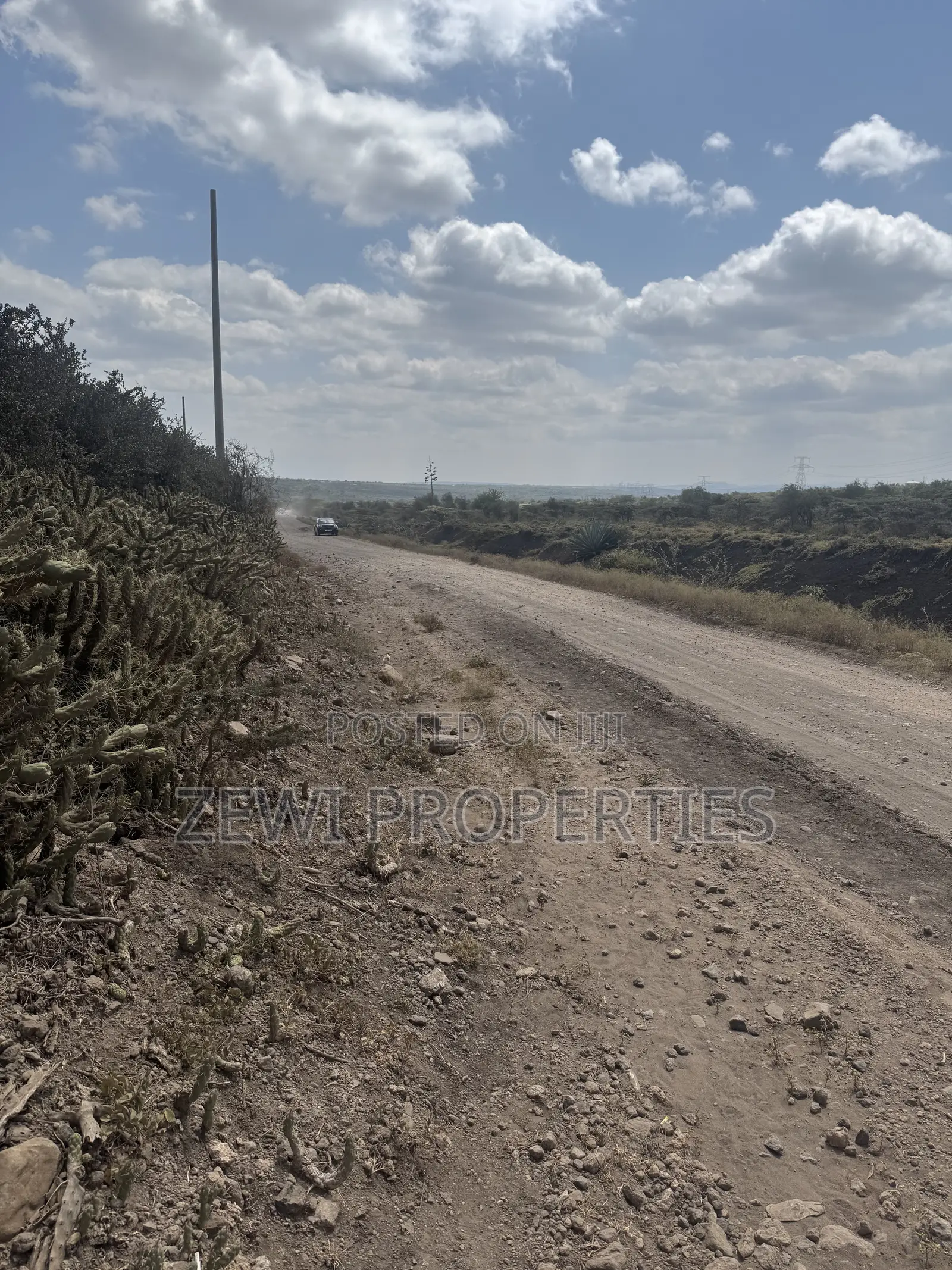 49 Acres Kisamis