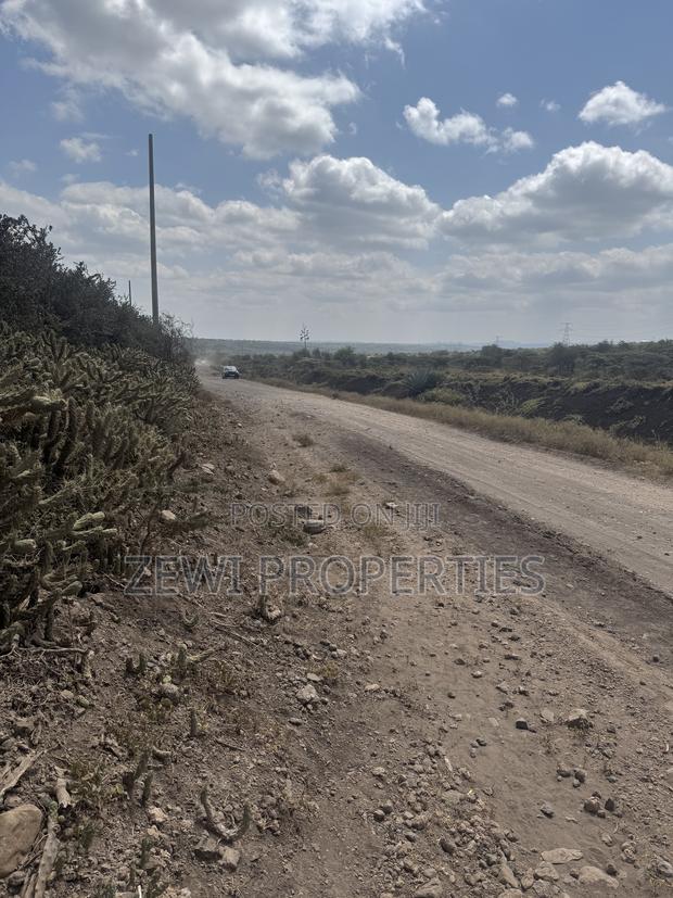 49 Acres Kisamis - thumbnail 7