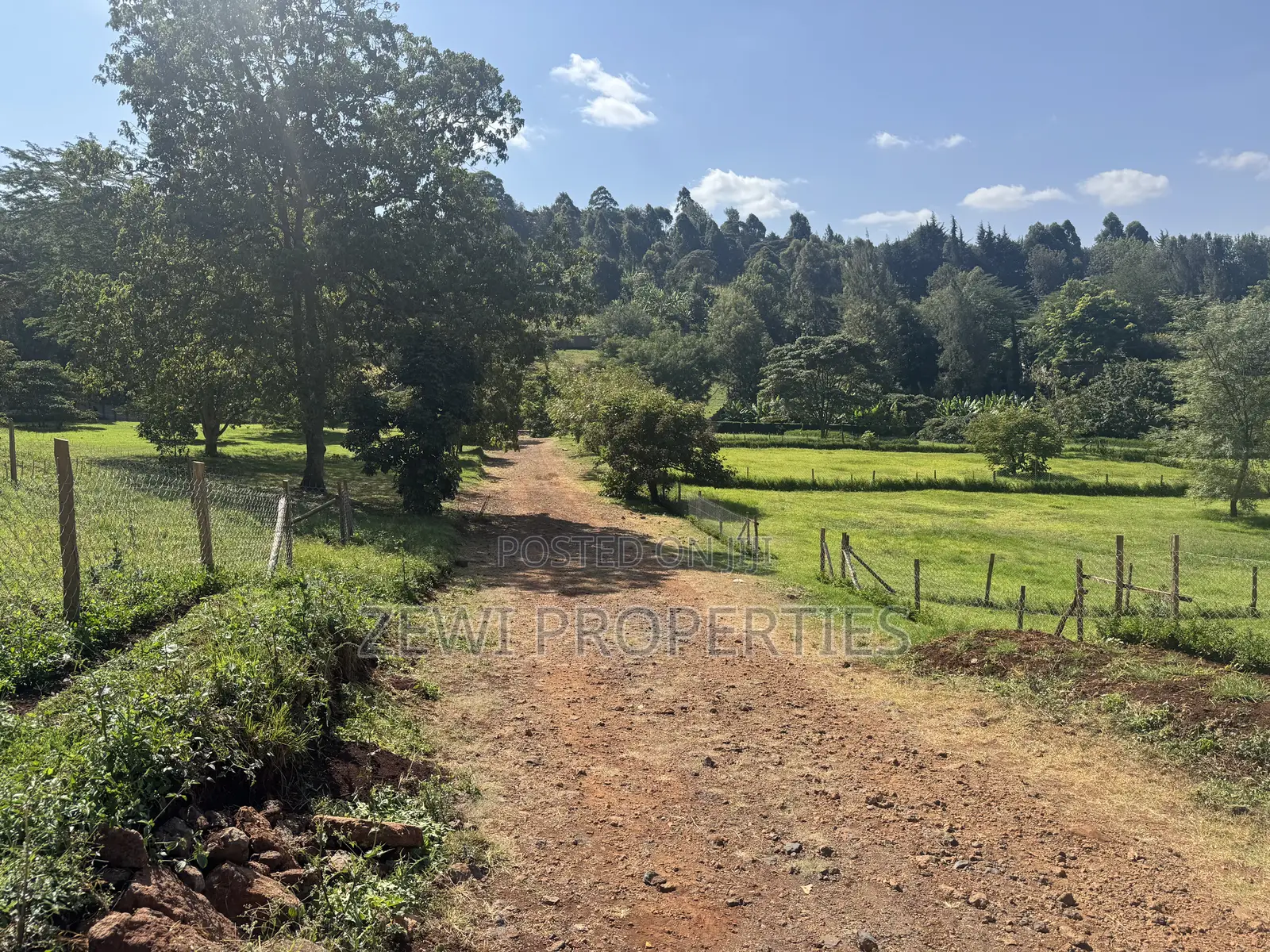 Quarter Acre Ngong