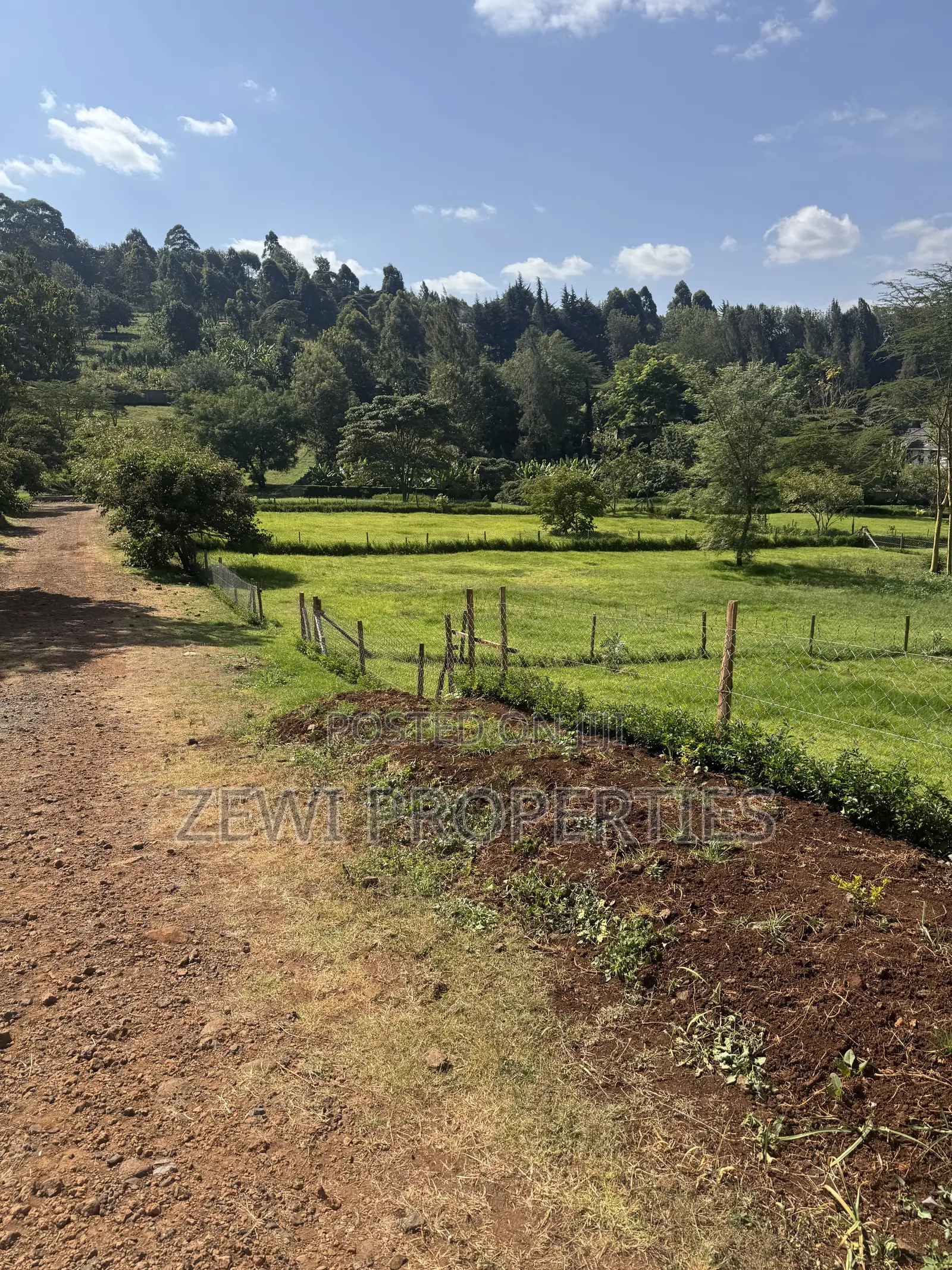 Quarter Acre Ngong