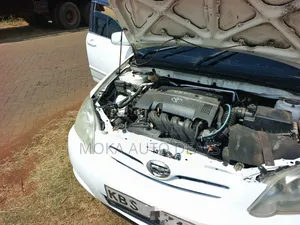 Toyota Corolla RunX 2006 White