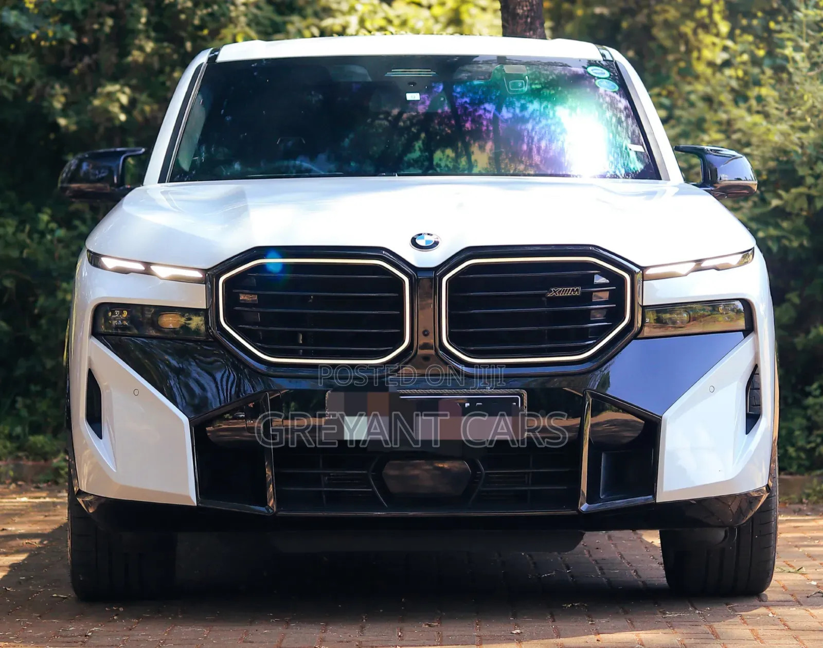 BMW XM Base AWD 2023 White