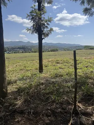 One Acre Matasia