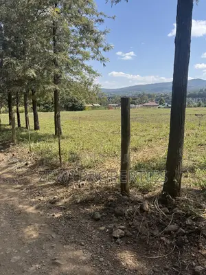 One Acre Matasia