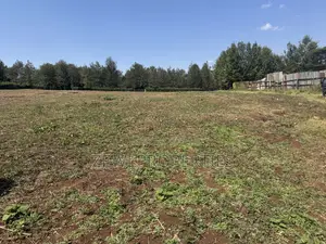 Half Acre Matasia