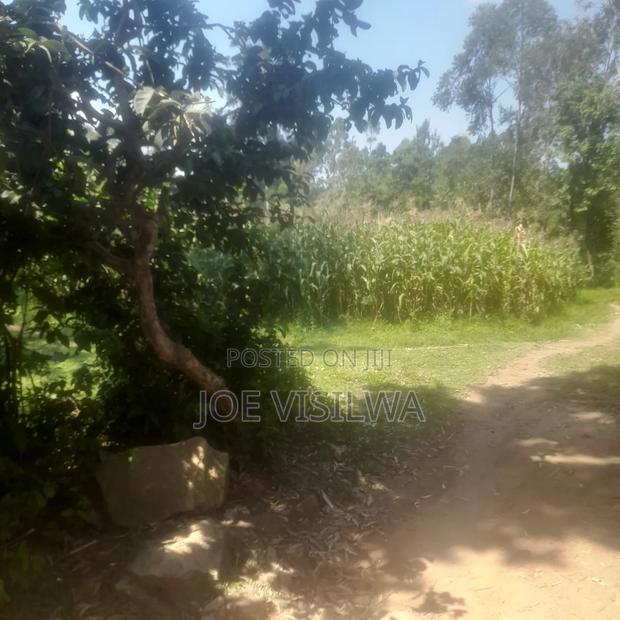 Plot for Sale 50 by 100 - main view