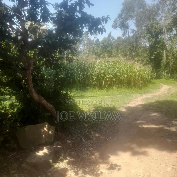 Plot for Sale 50 by 100 - thumbnail 2