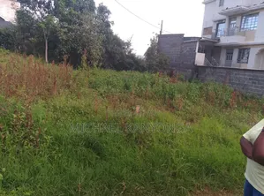 100by100 Kinoo Location