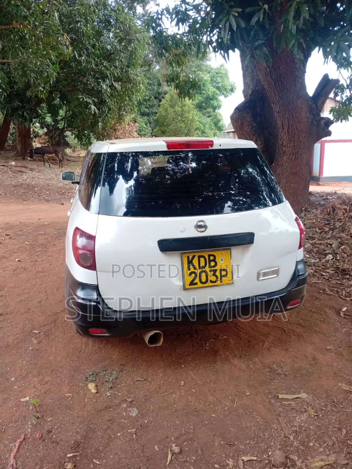 Nissan Advan 2013 White