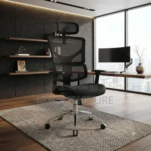 Office Chairs; Executive High Backrest Orthopedic Mesh Office Chairs