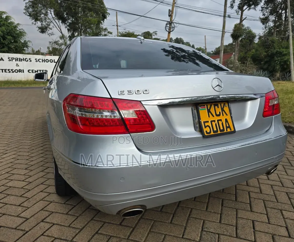 Mercedes-Benz E300 2009 Silver
