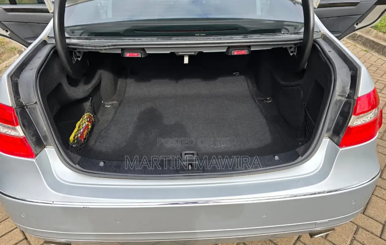 Mercedes-Benz E300 2009 Silver