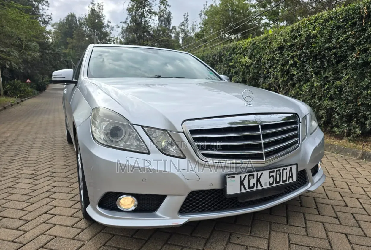 Mercedes-Benz E300 2009 Silver