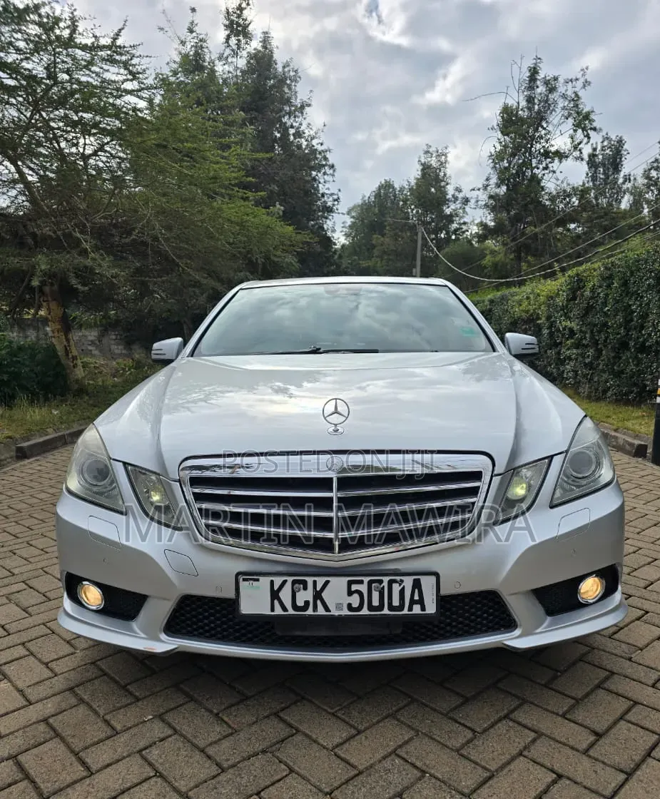Mercedes-Benz E300 2009 Silver