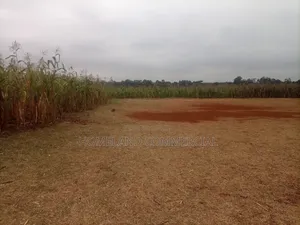 26 Acres for Sale in Nyari