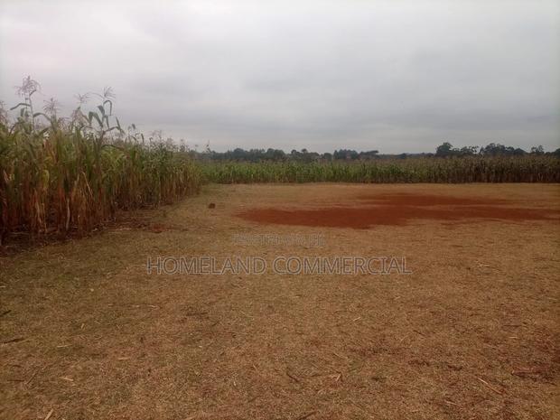 26 Acres for Sale in Nyari