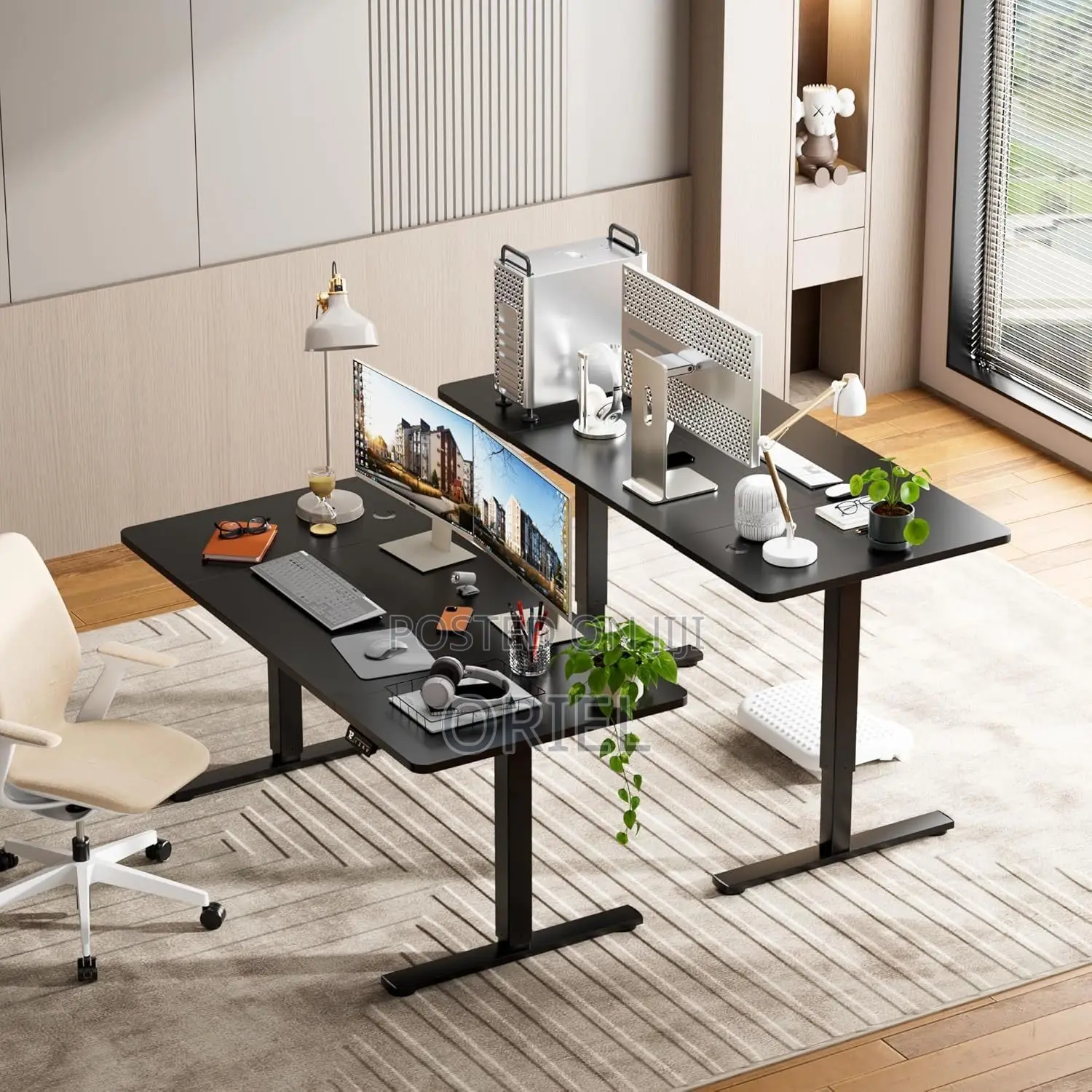 Office Desk : Black 1.2m Electric Adjustable Standing Desk