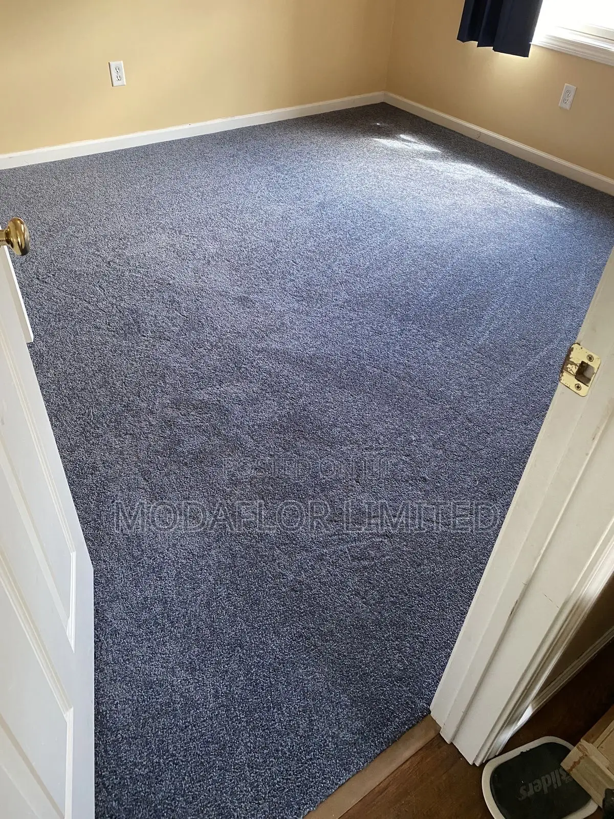 Executive Gray Wall to Wall Carpet 12mm | Premium Carpet