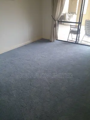 Executive Gray Wall to Wall Carpet 12mm | Premium Carpet