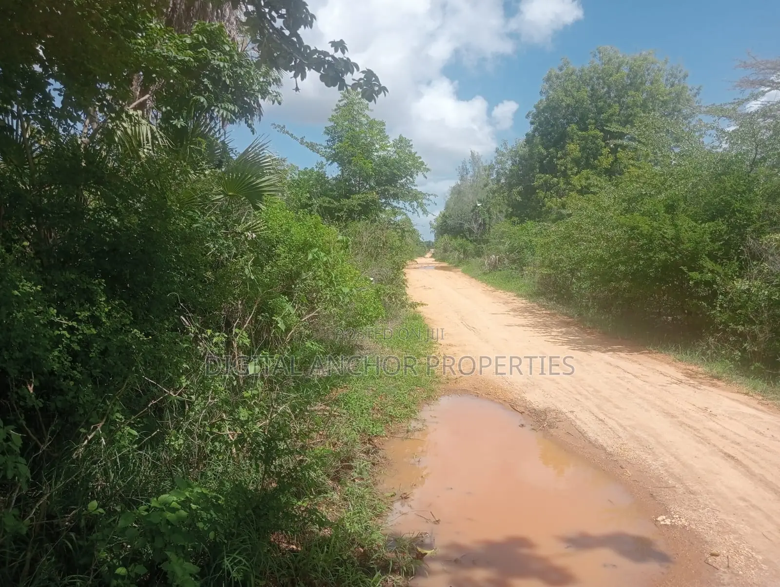 Prime Investment Opportunity Lamu