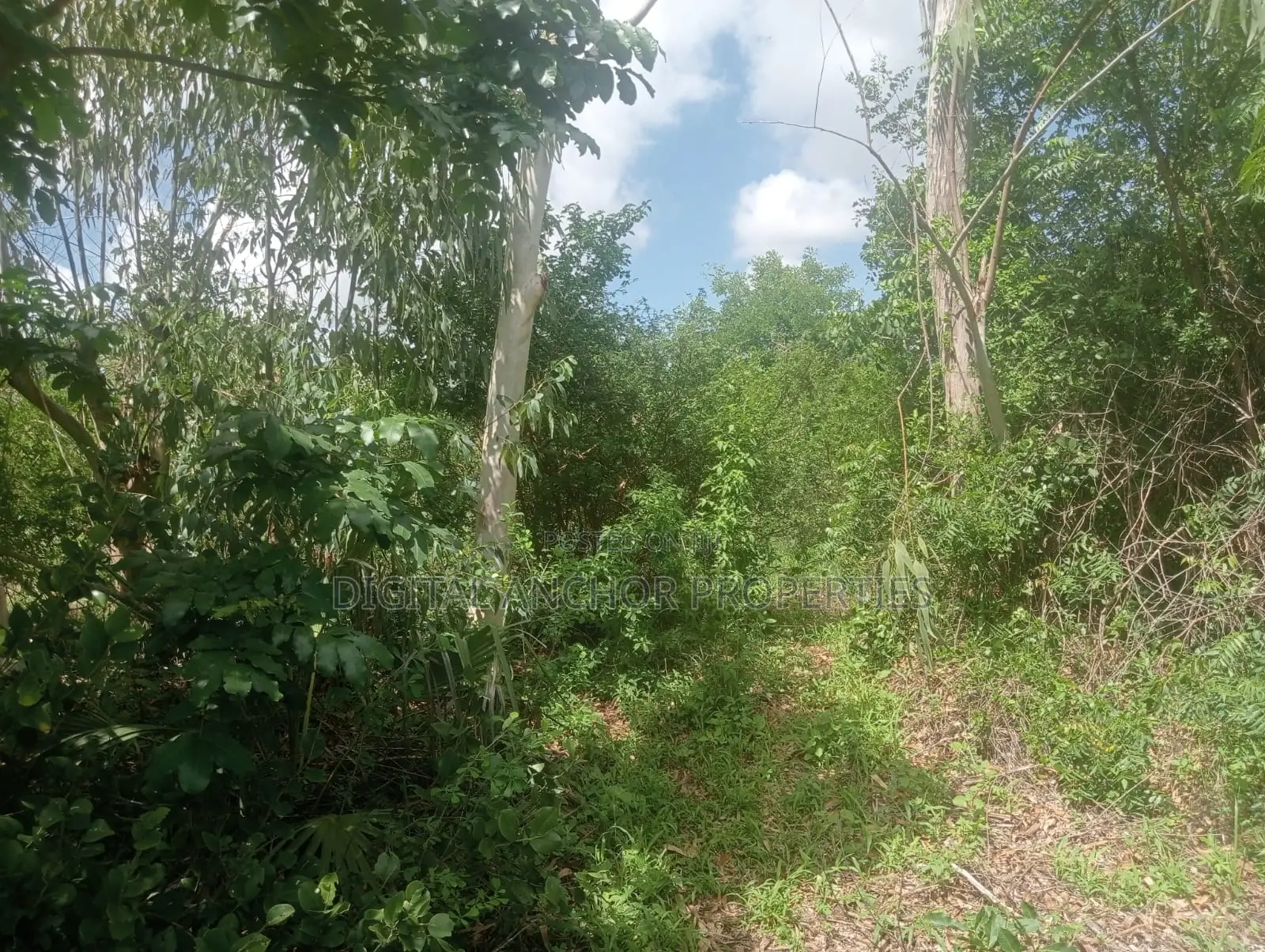 Prime Investment Opportunity Lamu