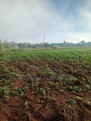 5 Acres of Land in Kiambu County