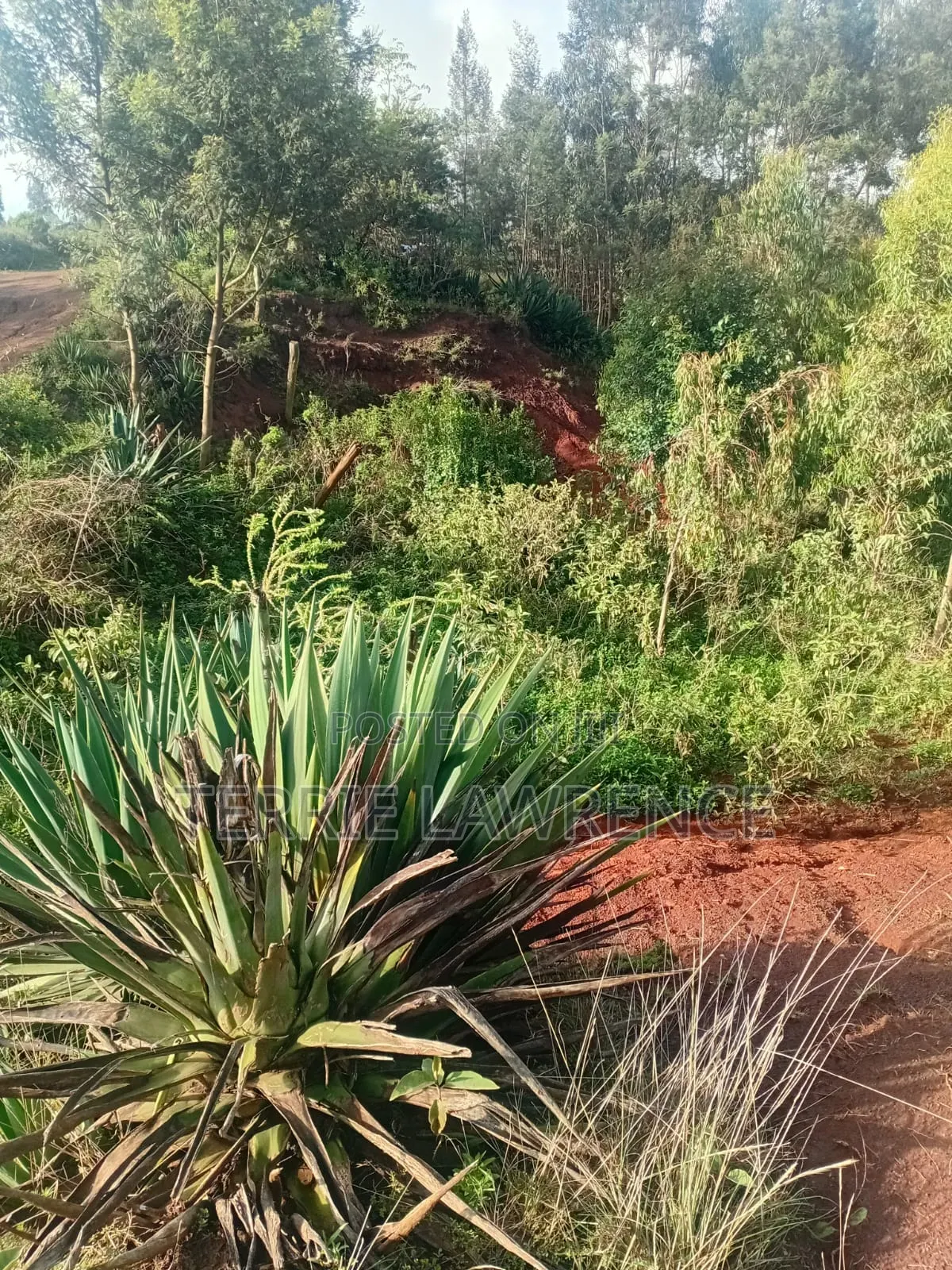 5 Acres of Land in Kiambu County