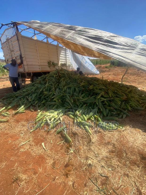 Prime 50acres at Embu Ishiara for Sale - thumbnail 13