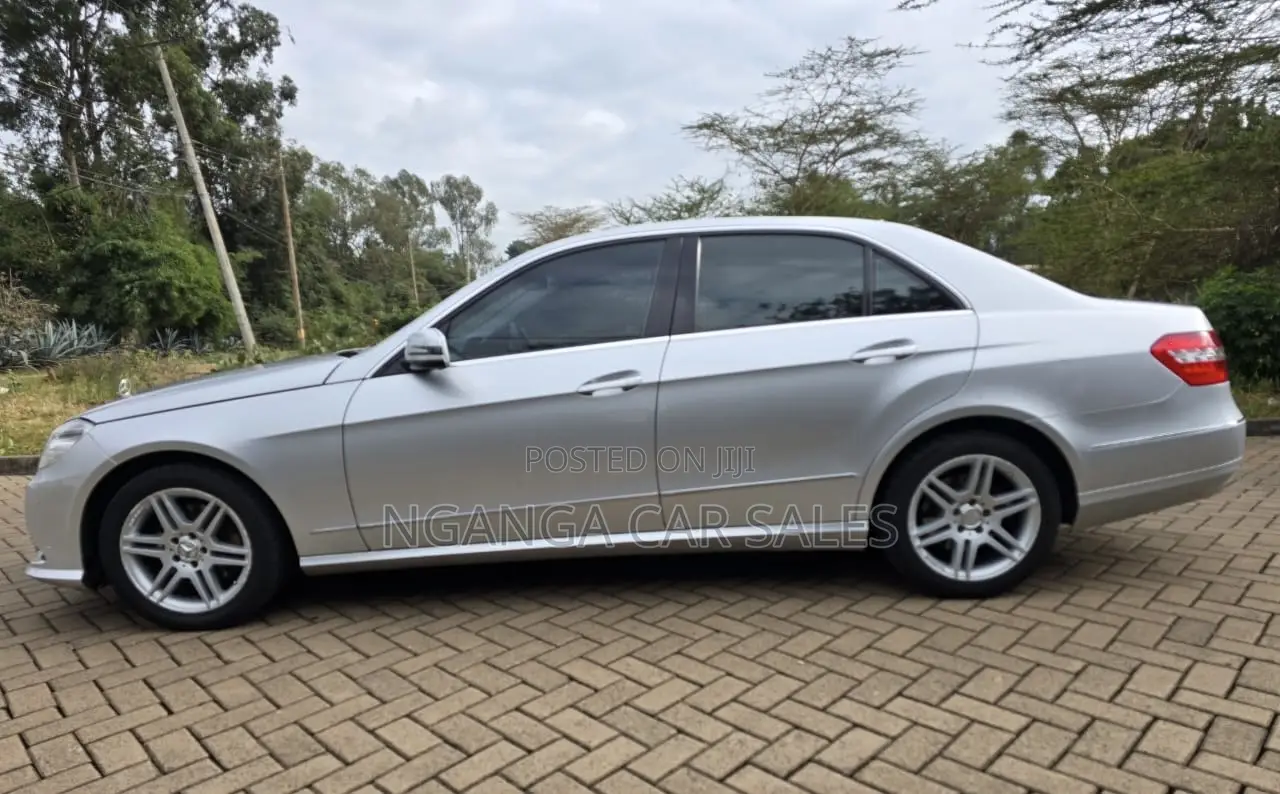 Mercedes-Benz E300 2009 Silver