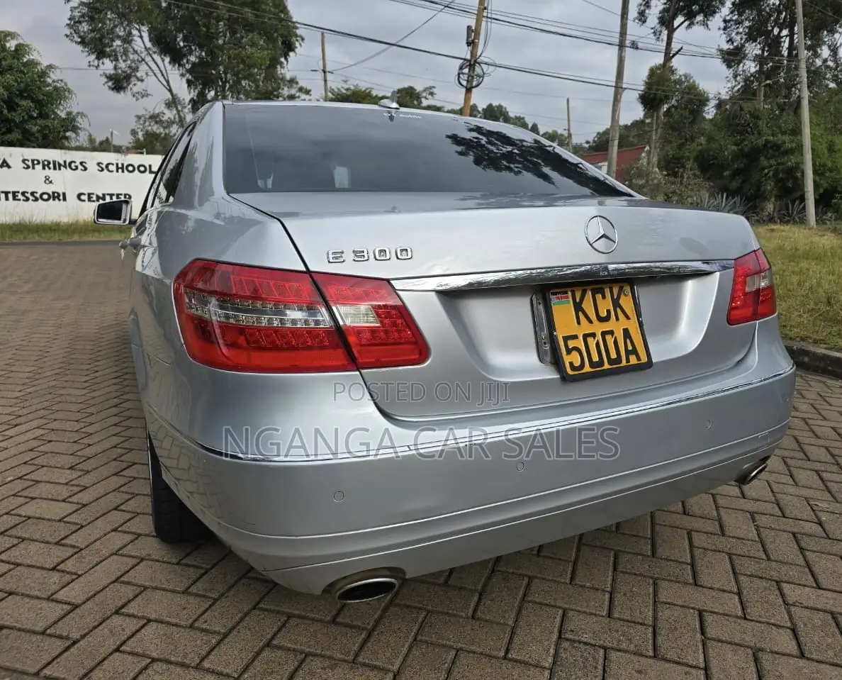 Mercedes-Benz E300 2009 Silver