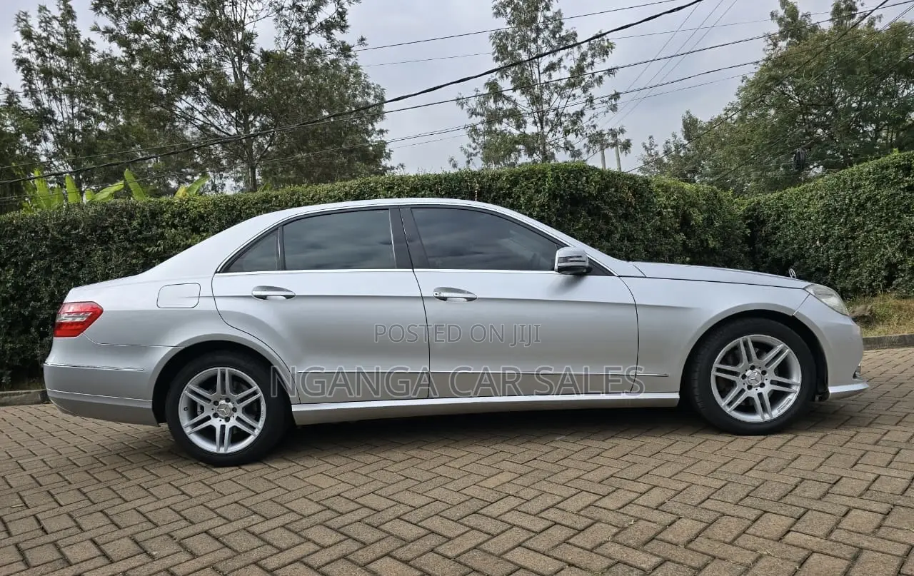 Mercedes-Benz E300 2009 Silver
