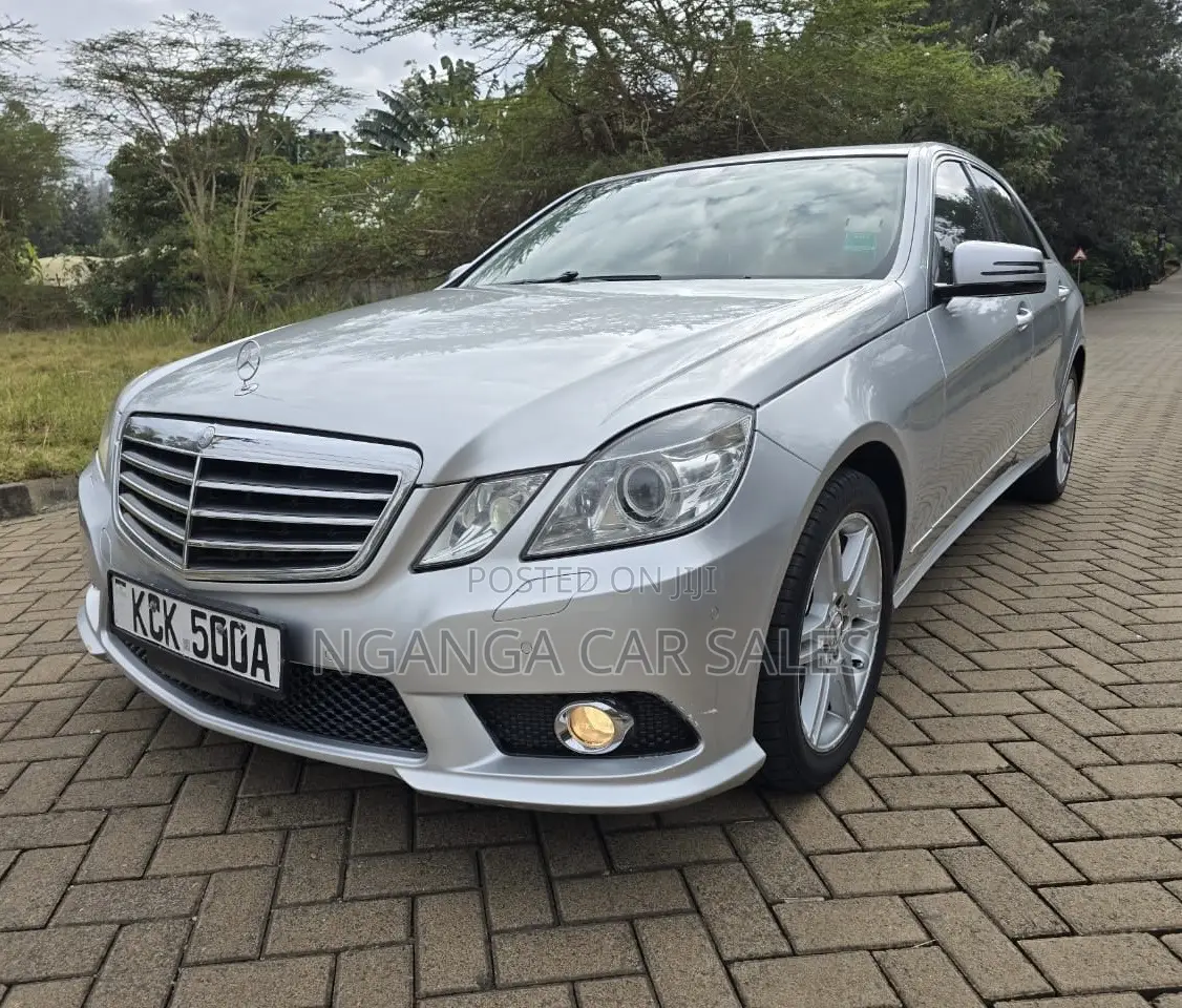 Mercedes-Benz E300 2009 Silver