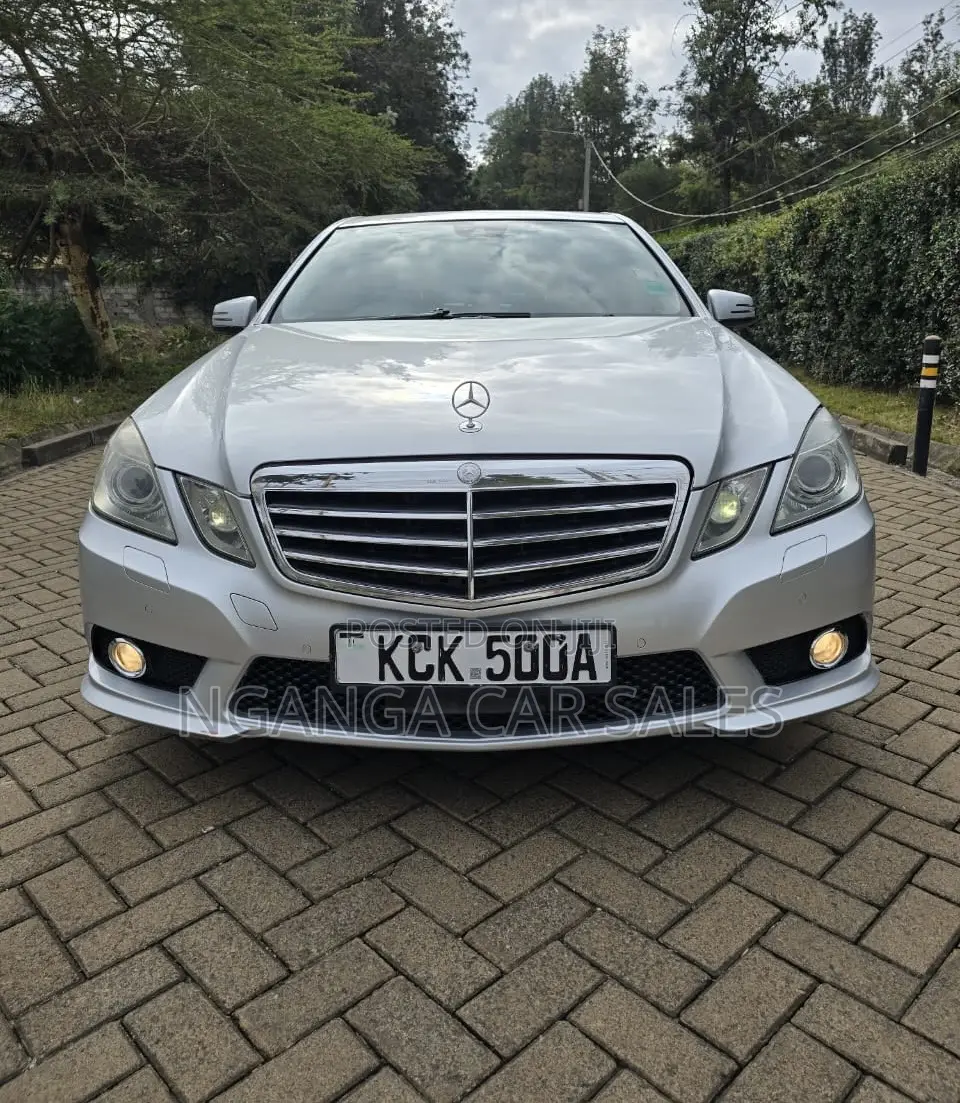 Mercedes-Benz E300 2009 Silver