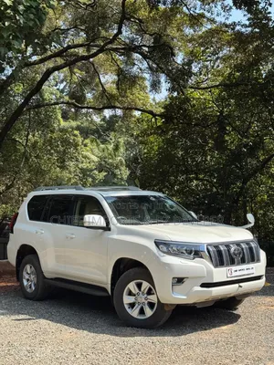 Toyota Land Cruiser Prado 2019 Pearl
