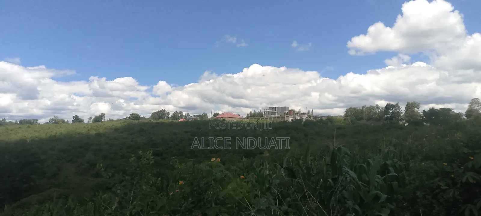 4bdrm Bungalow in Thika for sale
