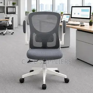 Swivel Low Back Ergonomic Chair
