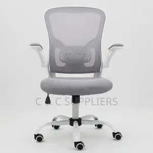 Swivel Low Back Ergonomic Chair