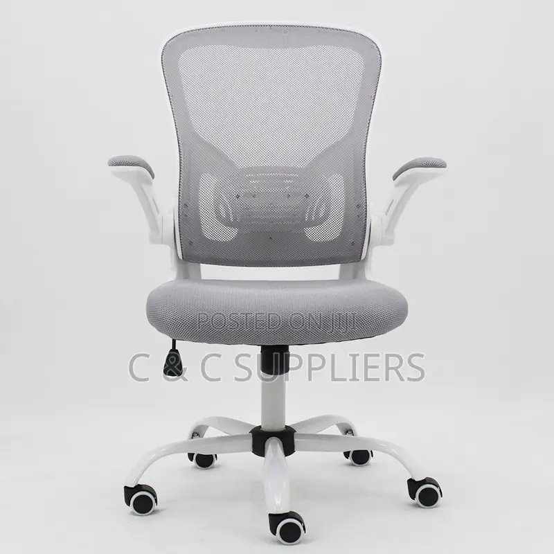 Swivel Low Back Ergonomic Chair