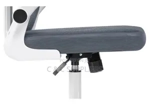 Swivel Low Back Ergonomic Chair