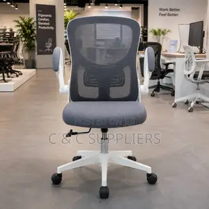 Swivel Low Back Ergonomic Chair