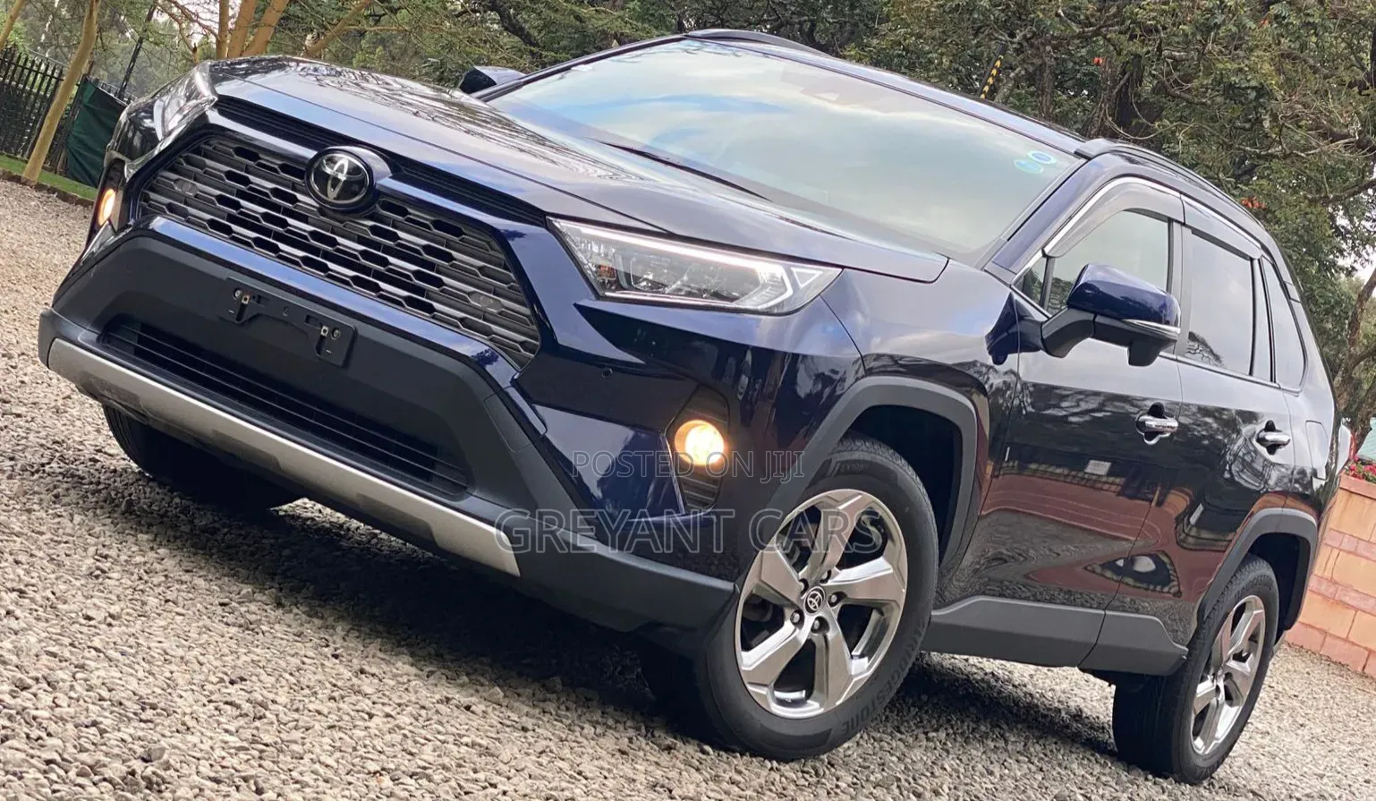 Toyota RAV4 2019 Blue
