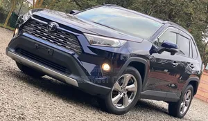 Toyota RAV4 2019 Blue