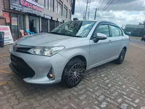 Toyota Axio 1.5 G 4WD 2019 Silver